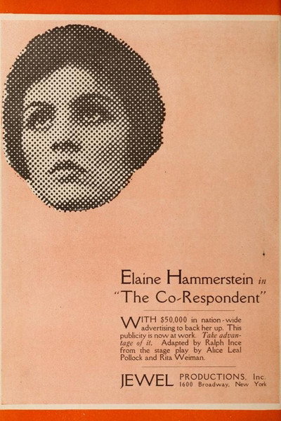 Póster de The Co-respondent