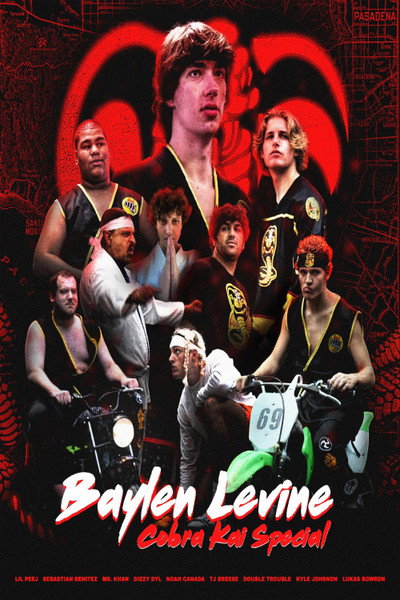 Póster de The Cobra Kai Movie