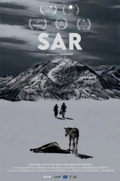 Póster de The Cold