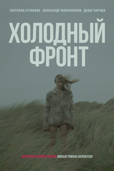 Póster de The Cold Front