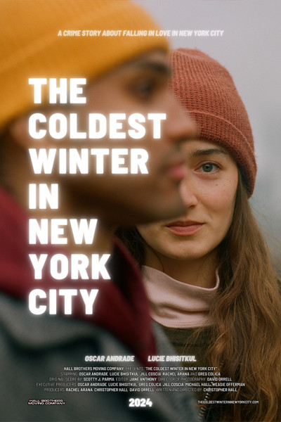Póster de The Coldest Winter in New York City
