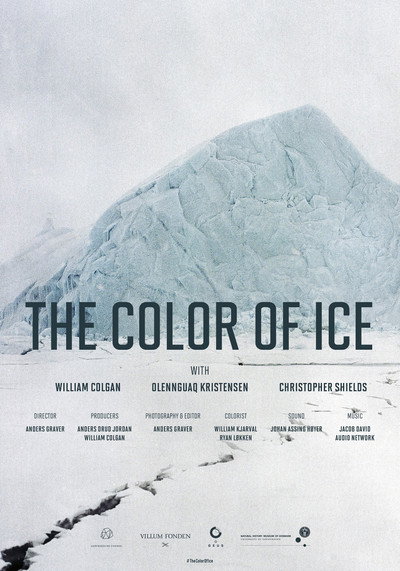 Póster de The Color of Ice
