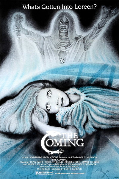 Póster de The Coming (Viaje a traves del tiempo)
