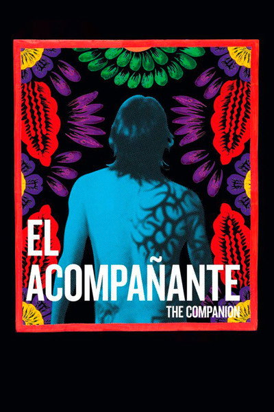Póster de The Companion