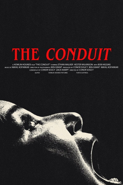 Póster de The Conduit