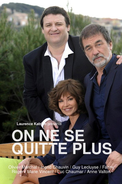 Póster de The Cop, the Ex and the Idiot