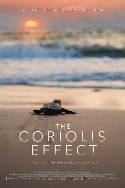 Póster de The Coriolis Effect