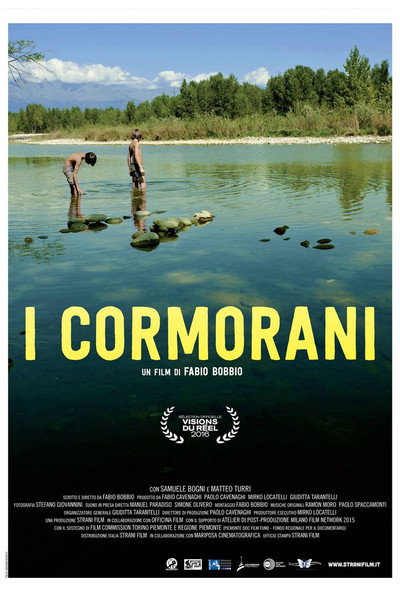 Póster de The Cormorants