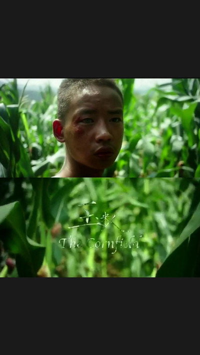 Póster de The Cornfield