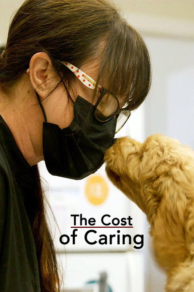 Póster de The Cost of Caring