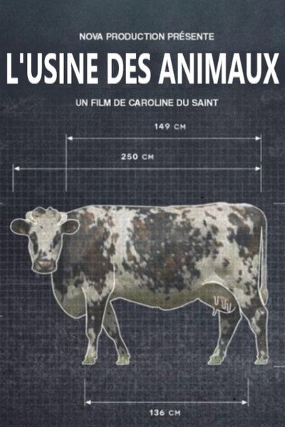 Póster de The Cost of Meat