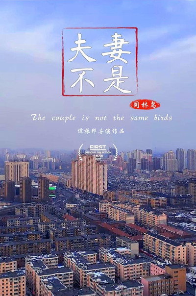 Póster de The Couple Is Not the Same Birds