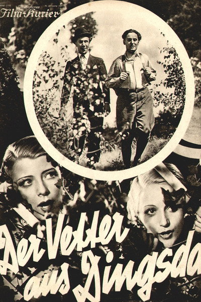 Póster de The Cousin from Nowhere