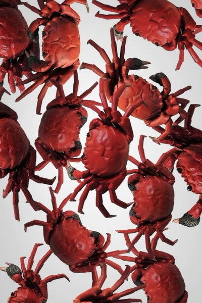Póster de The Crab House