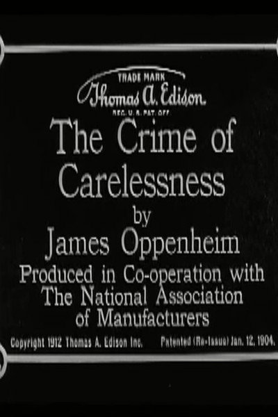 Póster de The Crime of Carelessness
