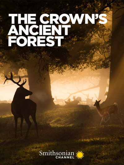 Póster de The Crown's Ancient Forest