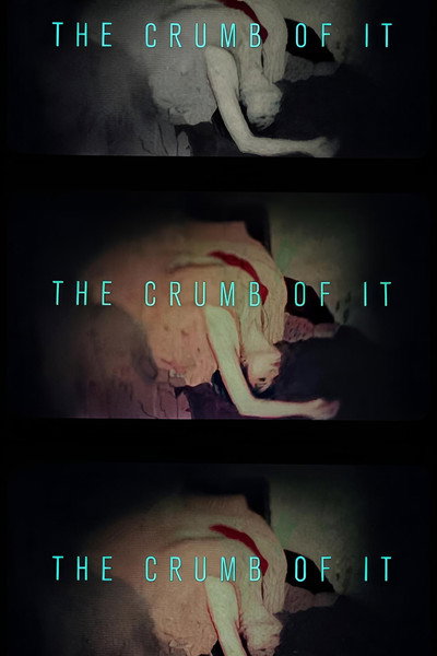 Póster de The Crumb of It
