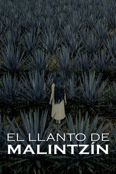 Póster de The Crying of Malintzin