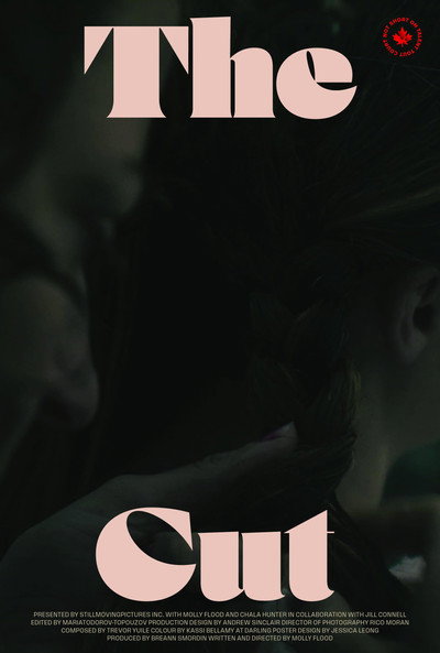 Póster de The Cut