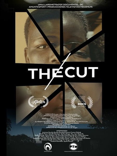 Póster de The cut