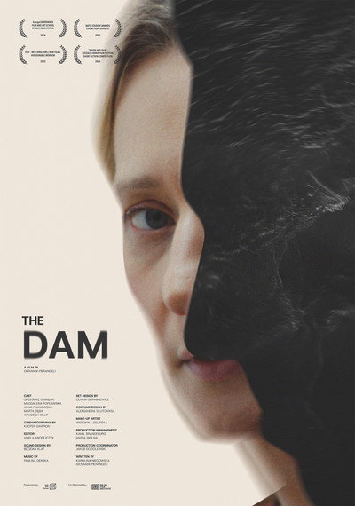 Póster de The Dam