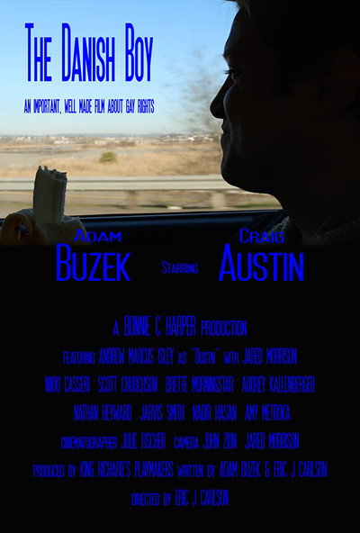 Póster de The Danish Boy