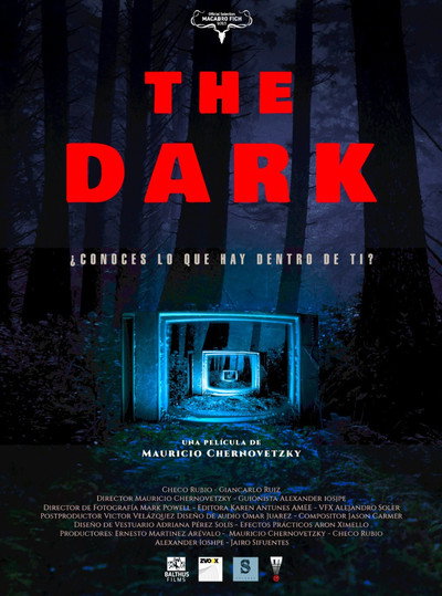 Póster de The Dark