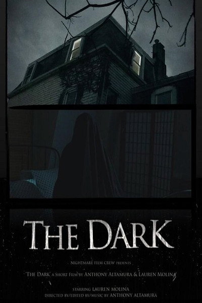 Póster de The Dark