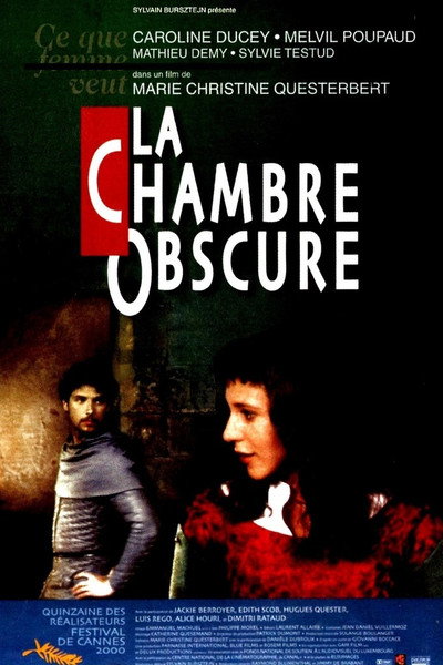 Póster de The Dark Room