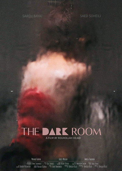 Póster de The Dark Room