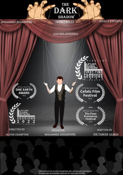 Póster de The Dark Shadow