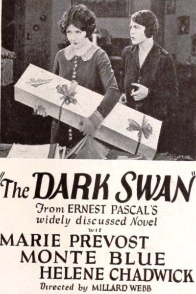Póster de The Dark Swan