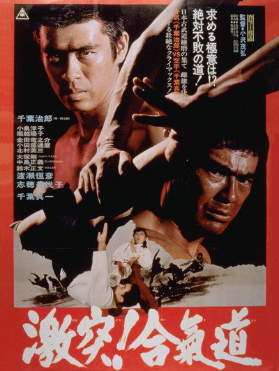 Póster de The Decisive Power of Aikido