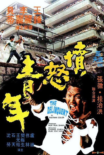 Póster de The Delinquent