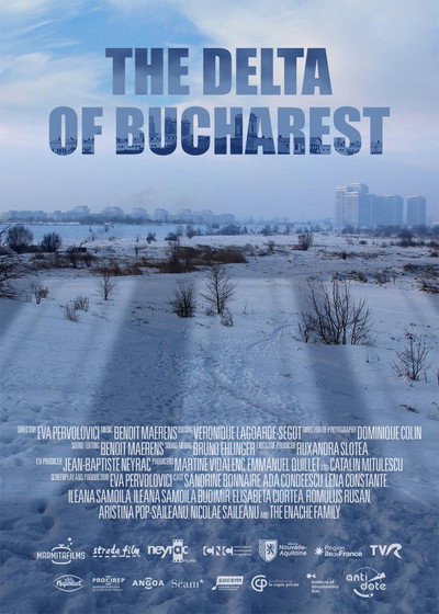 Póster de The Delta of Bucharest