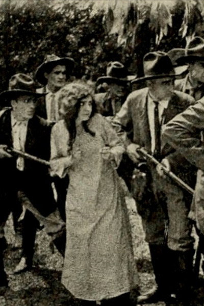 Póster de The Deputy's Peril