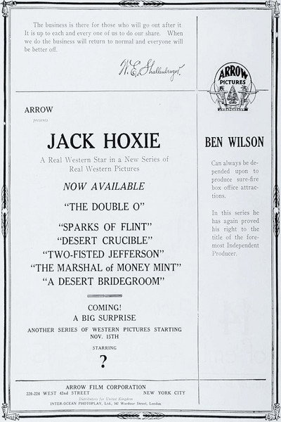 Póster de The Desert Bridegroom
