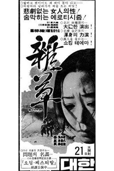 Póster de The Deserted Widow