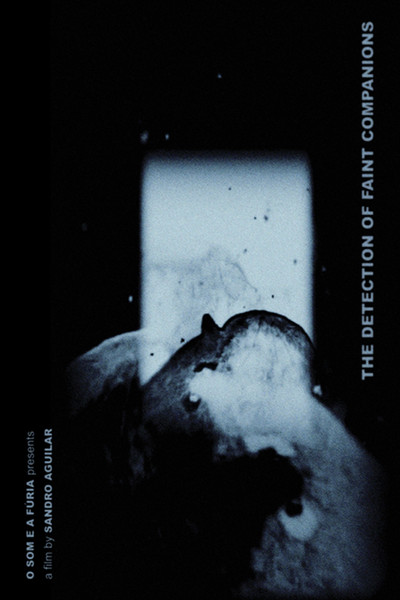 Póster de The Detection of Faint Companions