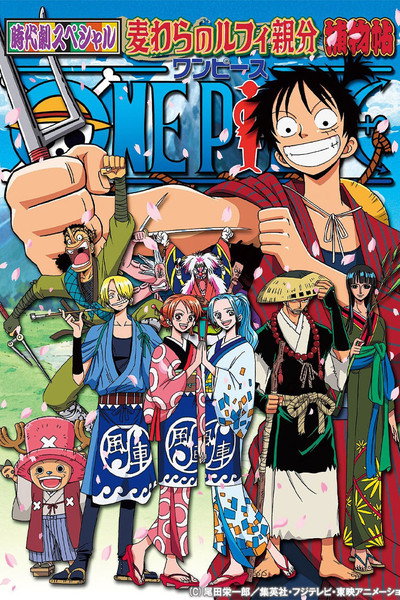 Póster de The Detective Memoirs of Chief Straw Hat Luffy