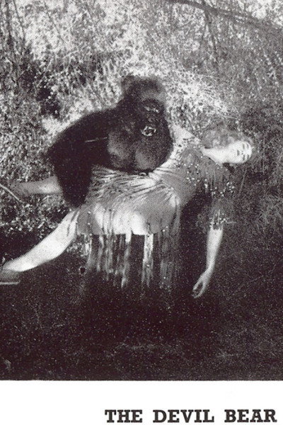 Póster de The Devil Bear