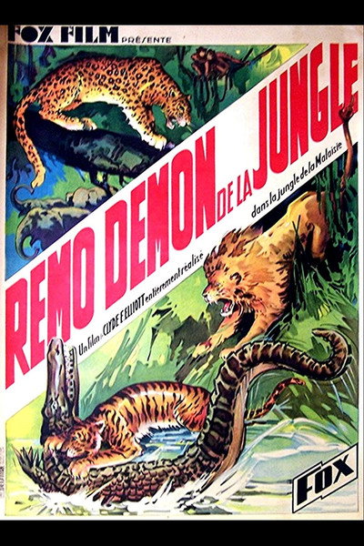 Póster de The Devil Tiger