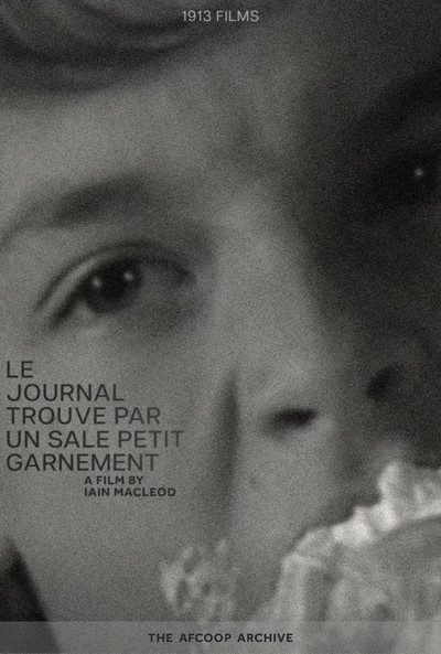 Póster de The Diary Found by a Nasty Kid