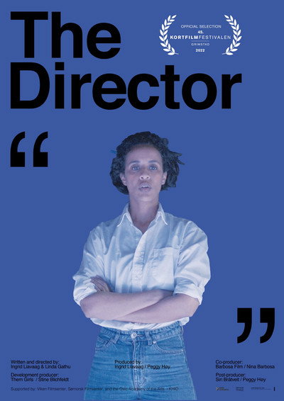 Póster de The Director