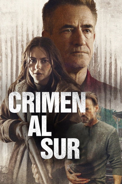 Póster de The Dirty South