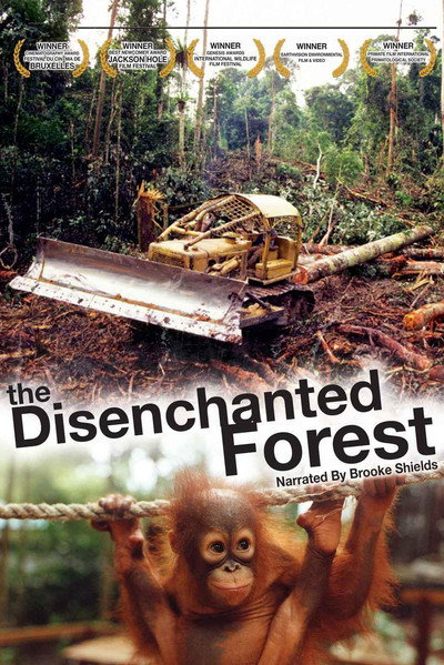 Póster de The Disenchanted Forest