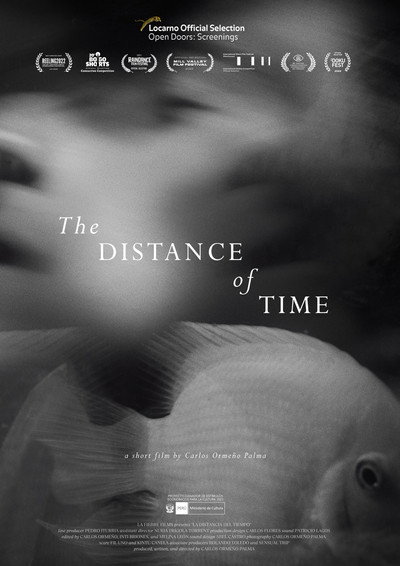 Póster de The Distance of Time