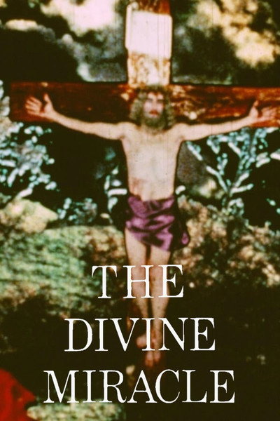Póster de The Divine Miracle