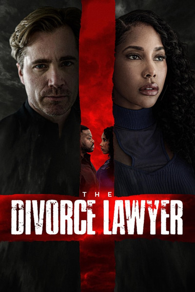 Póster de The Divorce Lawyer