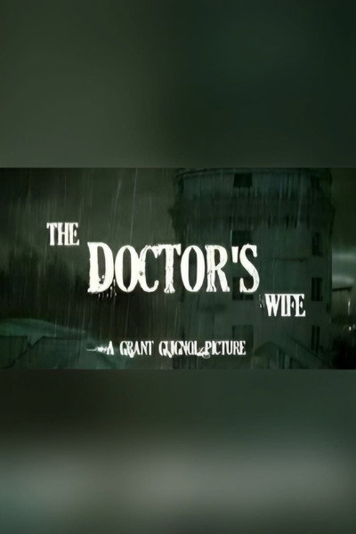 Póster de The Doctor's Wife
